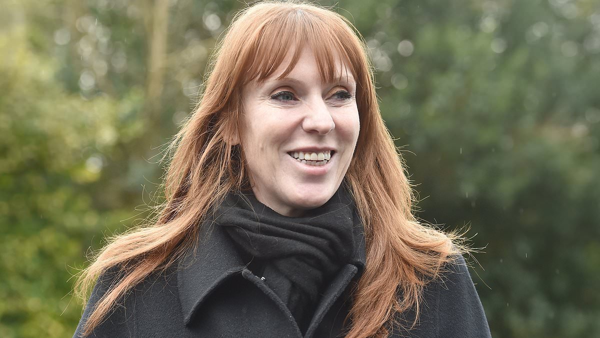'There's a lot of baggage there': Angela Rayner warned Brits continue to hold a 'negative' view of her after tax row as ex-deputy PM begins 'manoeuvres' against Keir Starmer