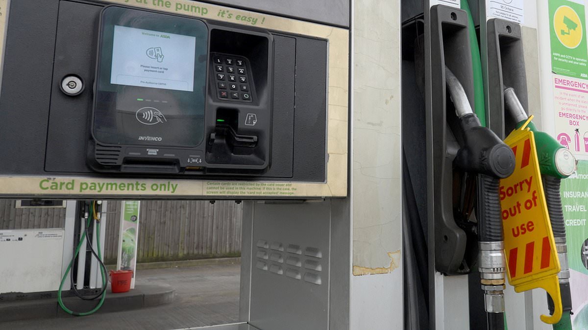 Drive 10 per cent slower to save fuel, motorists told in wake of Iran oil crisis as pump prices soar