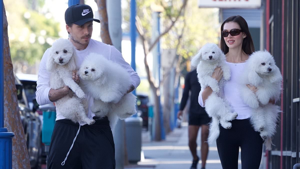 Brooklyn Beckham and Nicola Peltz wear matching outfits as they carry their FOUR pups to the groomers after claiming Victoria refused to help their fundraiser for displaced dogs in THAT wild statement