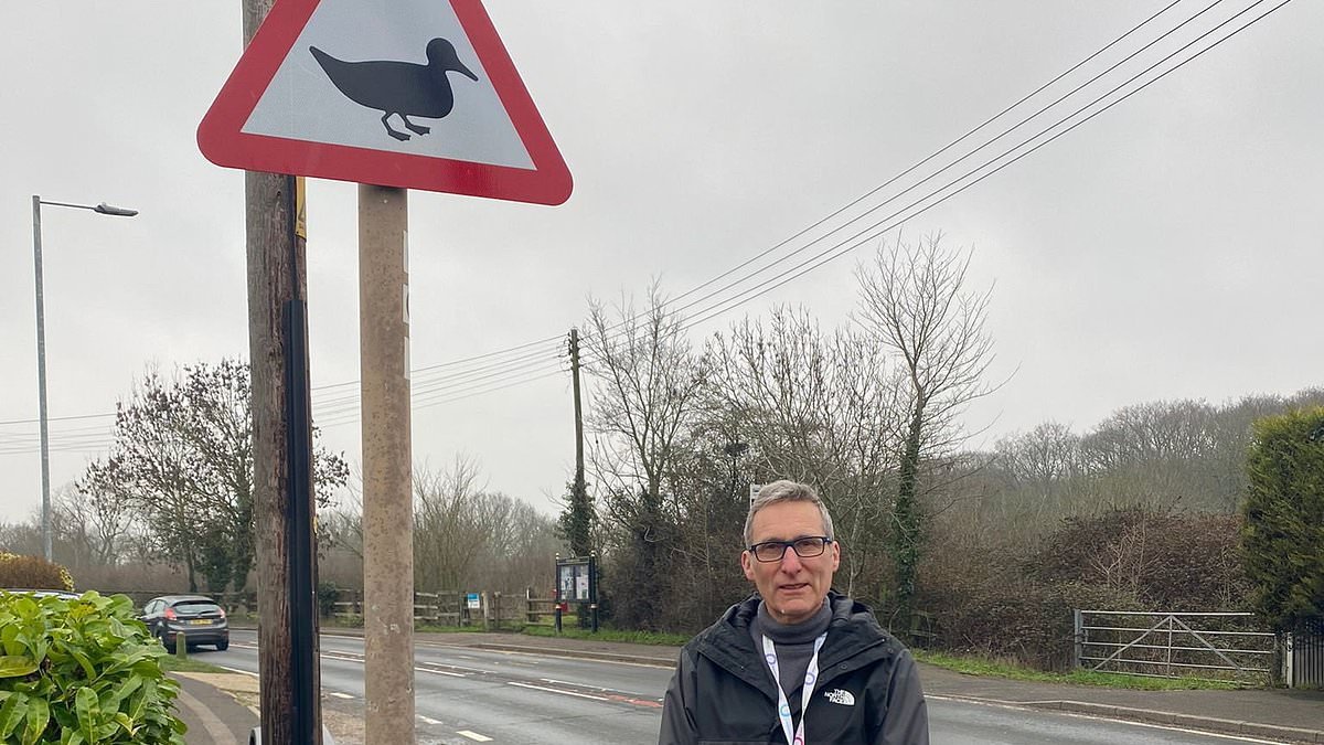 Council bemuses villagers by installing £7,000 road sign warning drivers that ducks may be crossing... but there's no ponds nearby