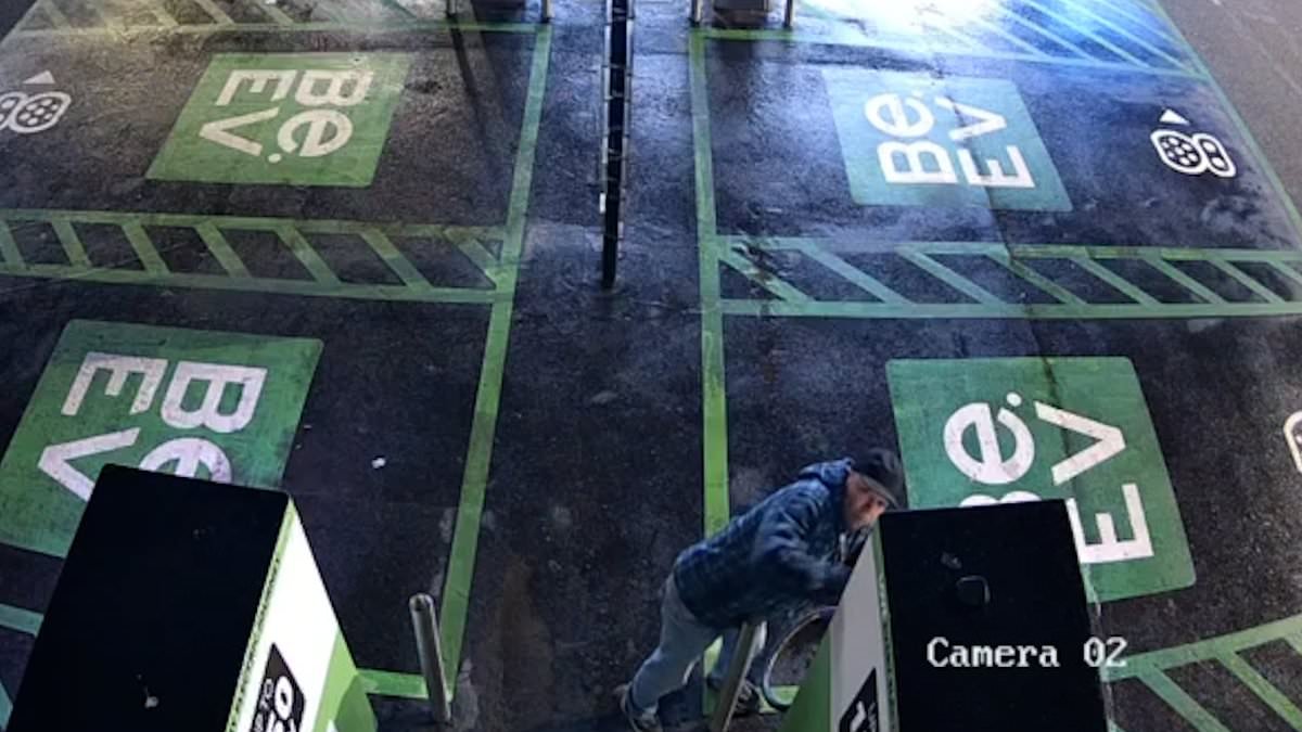 Epidemic of cable thefts from electric car charging points threatens future of Net Zero motoring as gangs target two sites a day