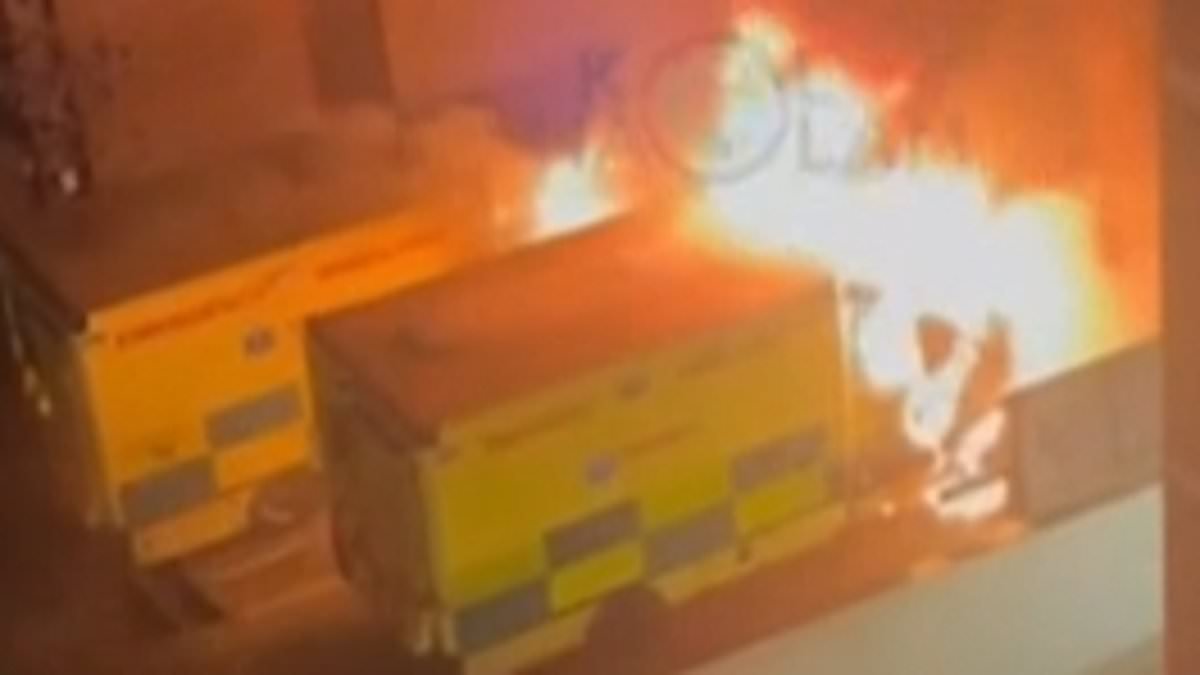 Teenager, 18, is the fourth person to be charged over arson attack on four Jewish community ambulances in Golders Green