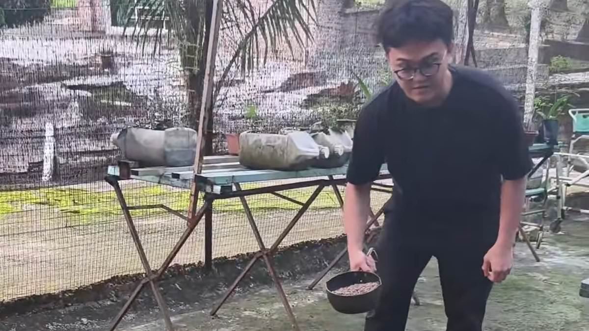 Gen Z retirement home opens in Asian country for 'burnt out' young adults