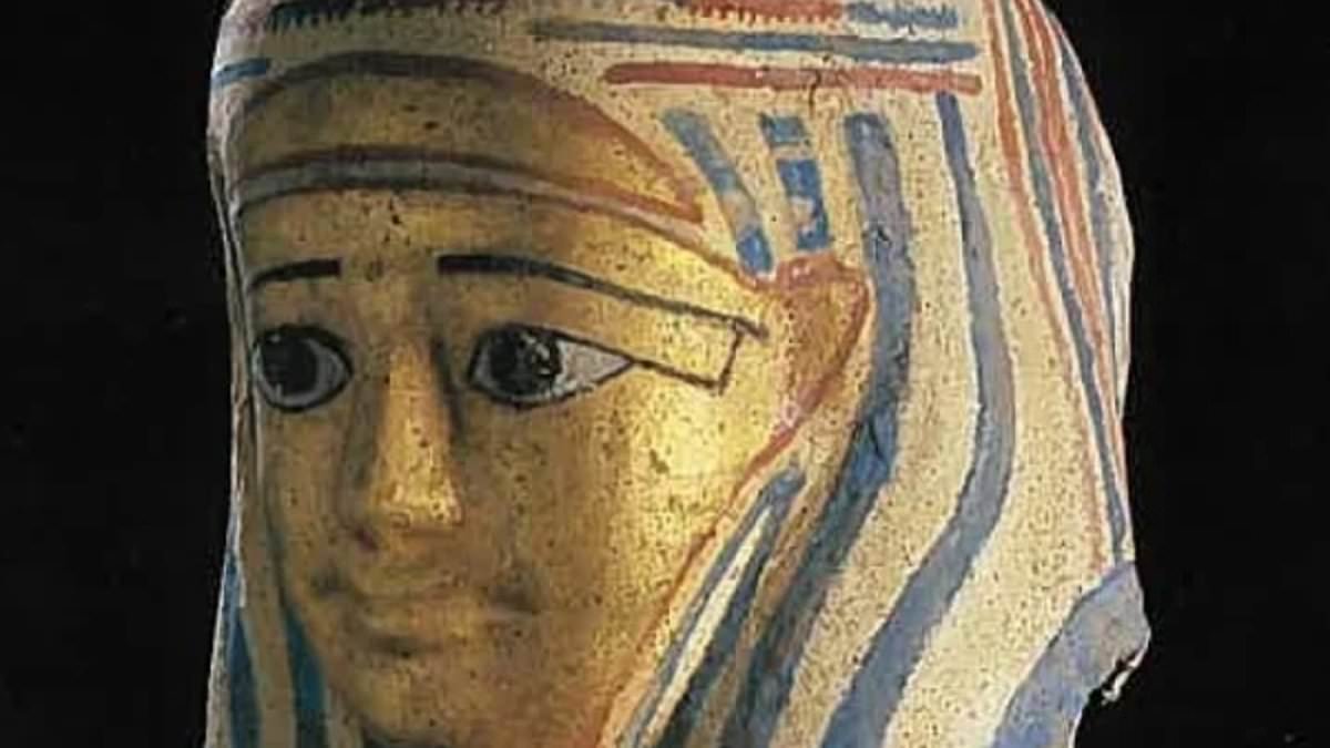 Priceless Egyptian artefacts stolen in museum heist… before police track down idiot thief after getaway mistake