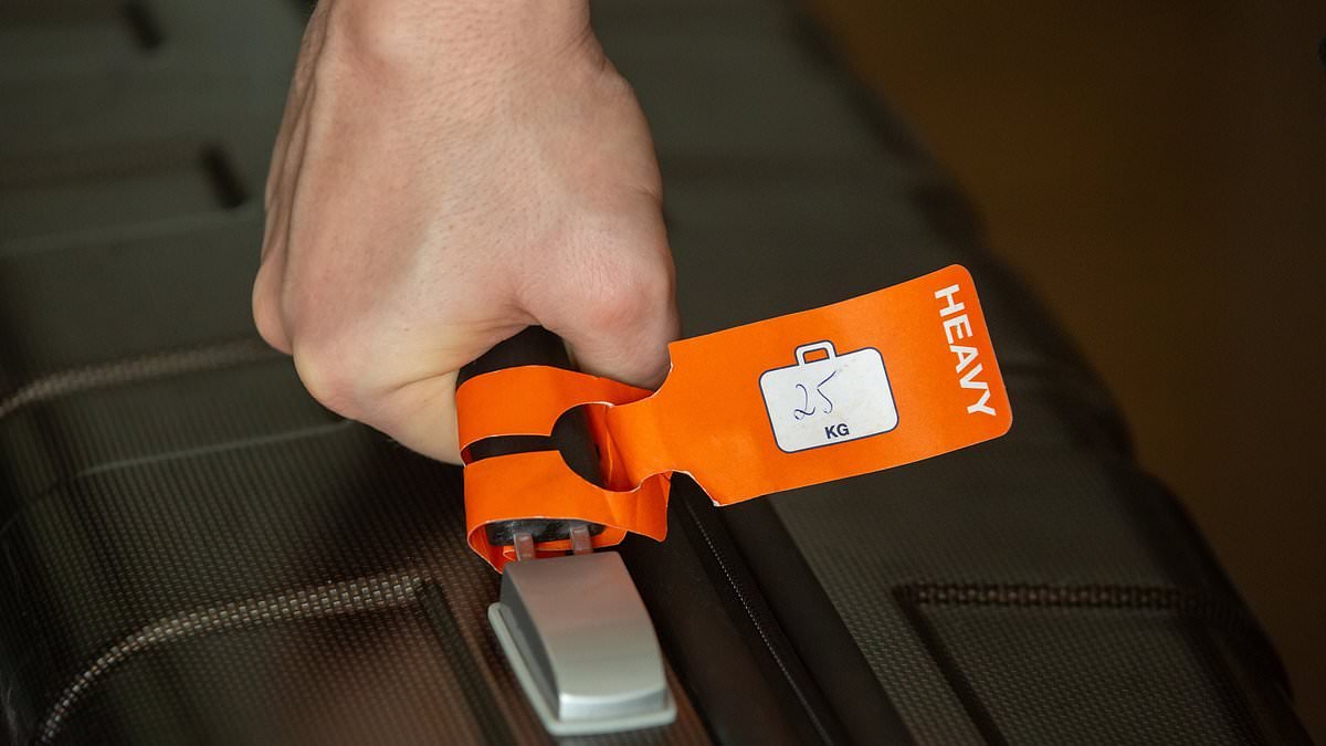 Woman shares 'genius' £2.29 hack to avoid paying £30 baggage fee at the airport