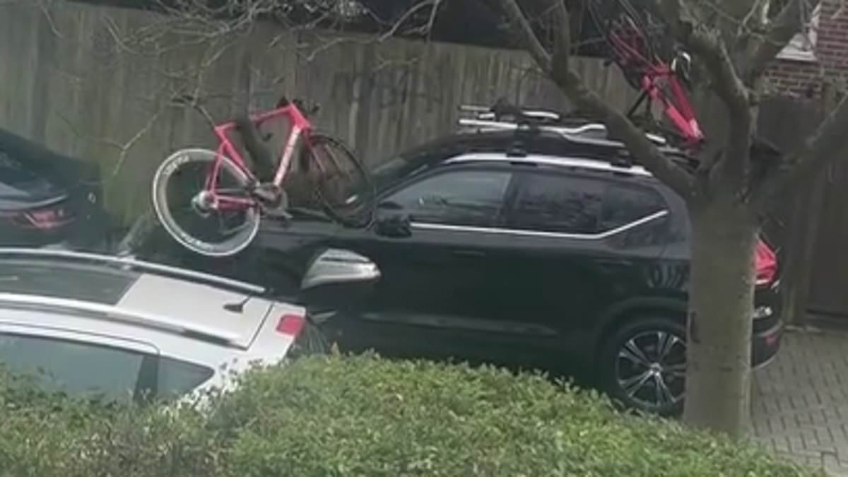 Moment 'brazen' balaclava-clad robbers rip elite cycling team's £8,000 bike from car roof and threaten team manager with massive machete