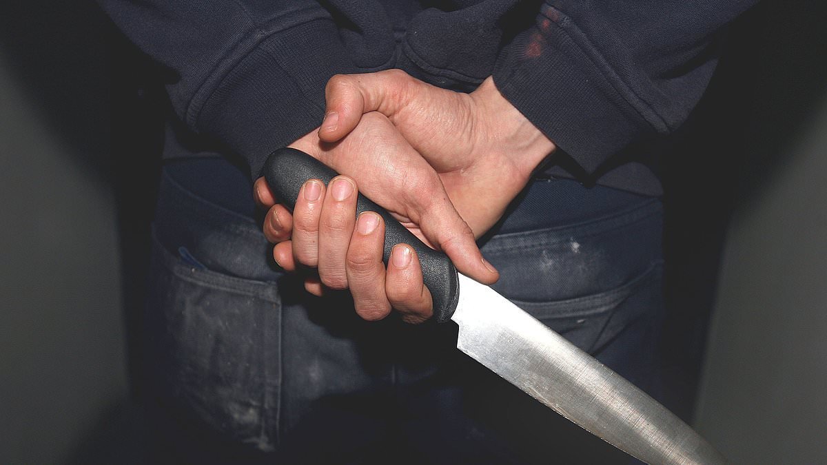 Police want knife licences to stop children trading blades on social media 'grey market'