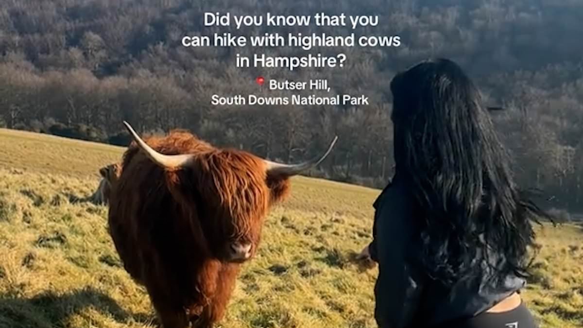 Warning over viral Highland Cows trend after three people were rescued while trying to take photos in Hampshire beauty spot