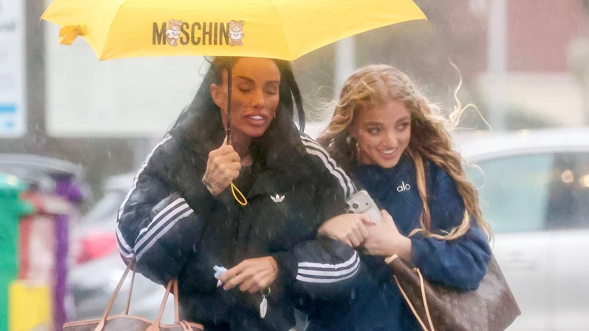 'It's tragic. We don't know how long she'll be around for': Heartbreaking words of Katie Price's friends who reveal sad truth about painful picture, fears about a new Mucky Mansion and 'enablers' to KATIE HIND