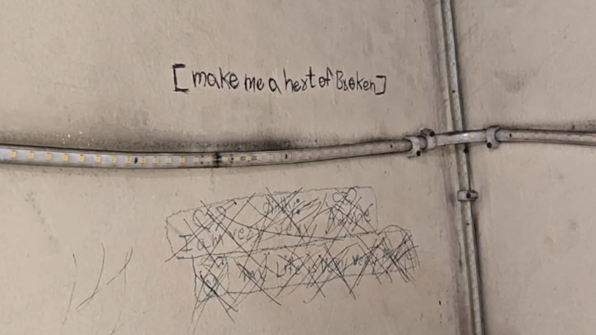 Three sisters aged 12, 14 and 16 jump to their deaths from ninth floor after parents took away their phone