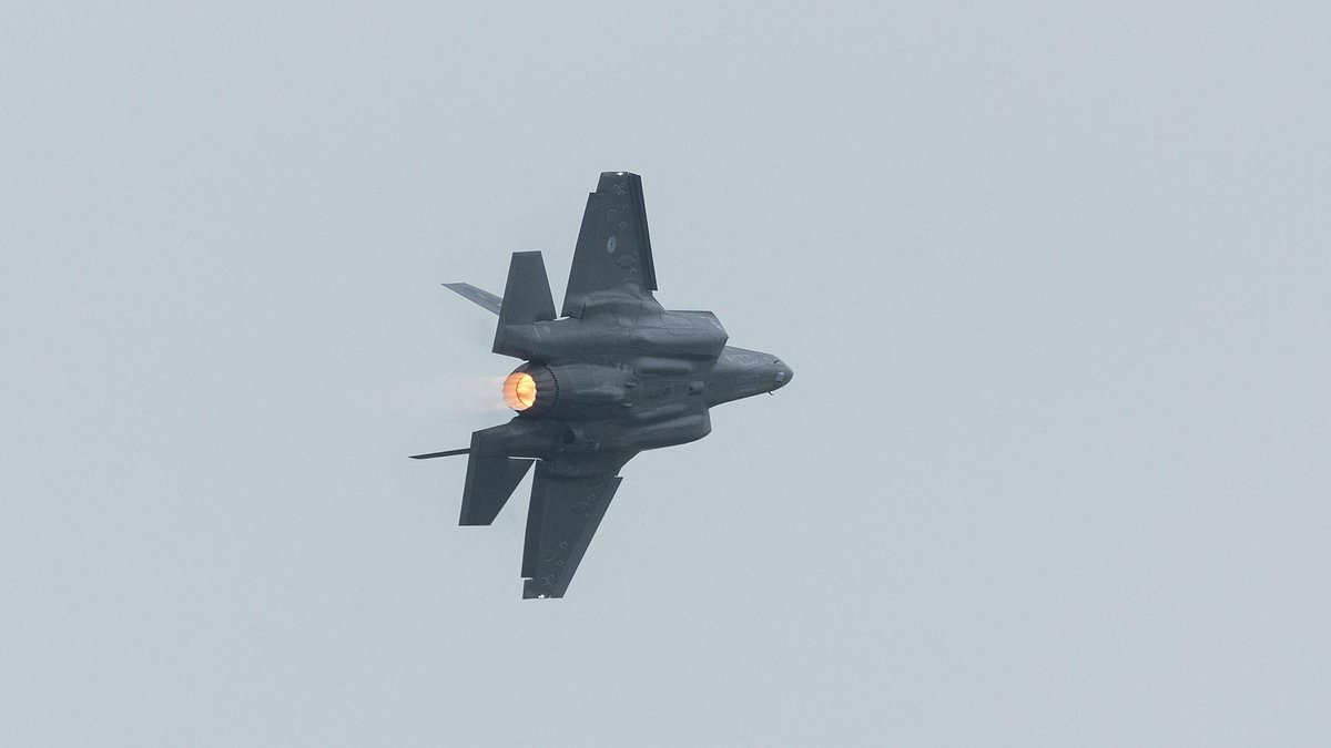 US fighter jet hit by Iranian fire is forced into emergency landing - as Trump claims: 'Nobody is even shooting at us'