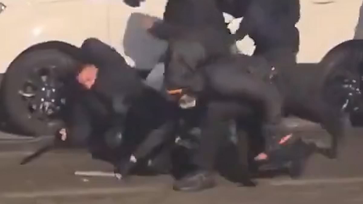 More than 100 police injured as left-wing supporters riots in Turin over the closure of a 'cultural centre'