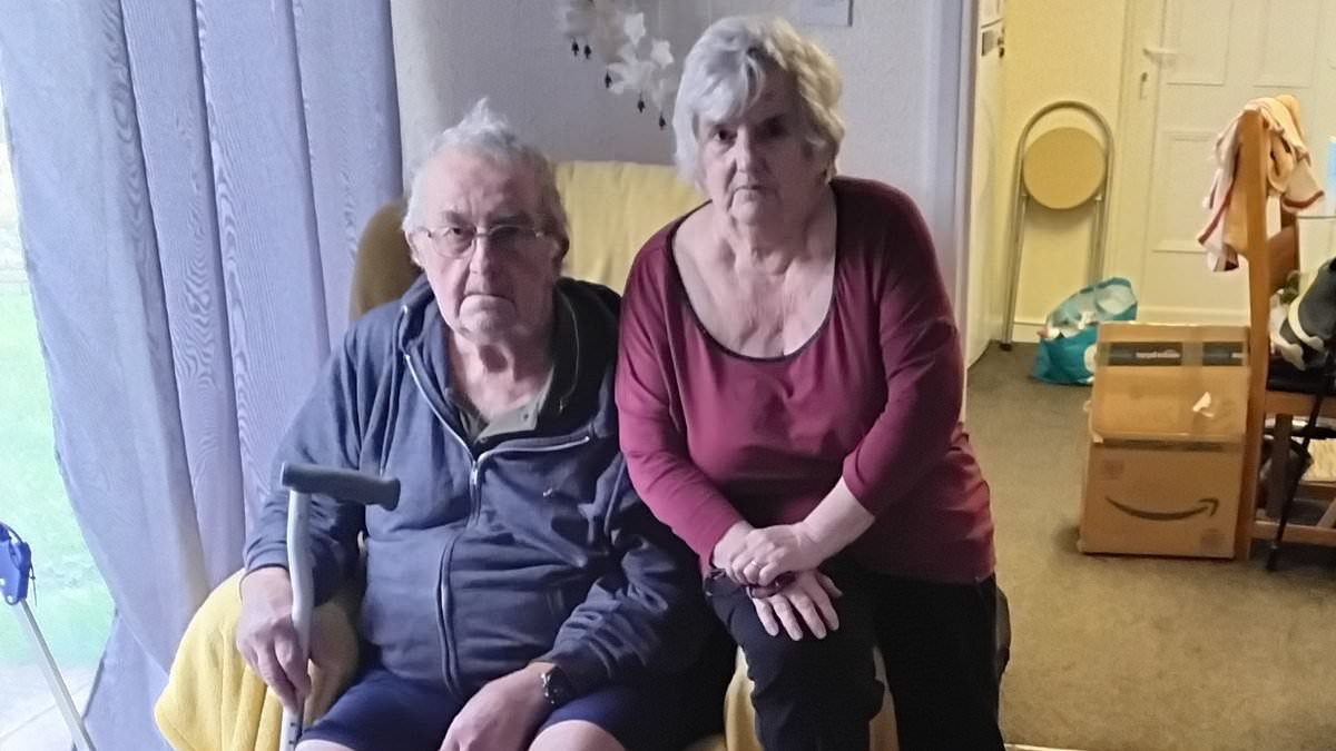 We bought our dream clifftop home for £165,000 a decade ago, now it's been left to fall into the sea by a council who couldn't care less