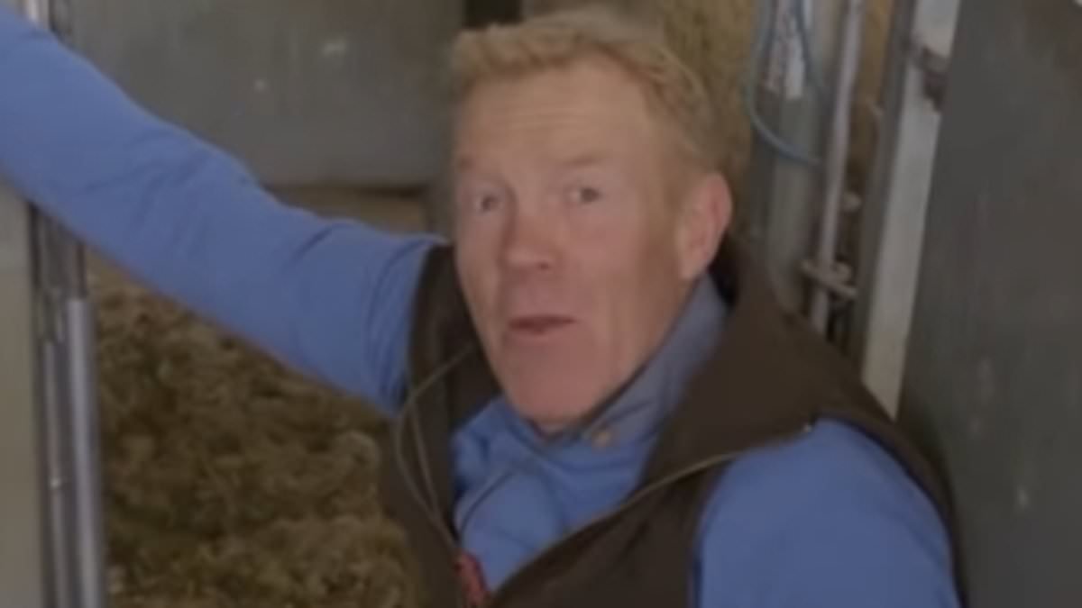 Jaw-dropping moment Adam Henson is headbutted to the ground by 'powerful' ram - with Countryfile host swearing as he's slammed against metal fence in 'show first'