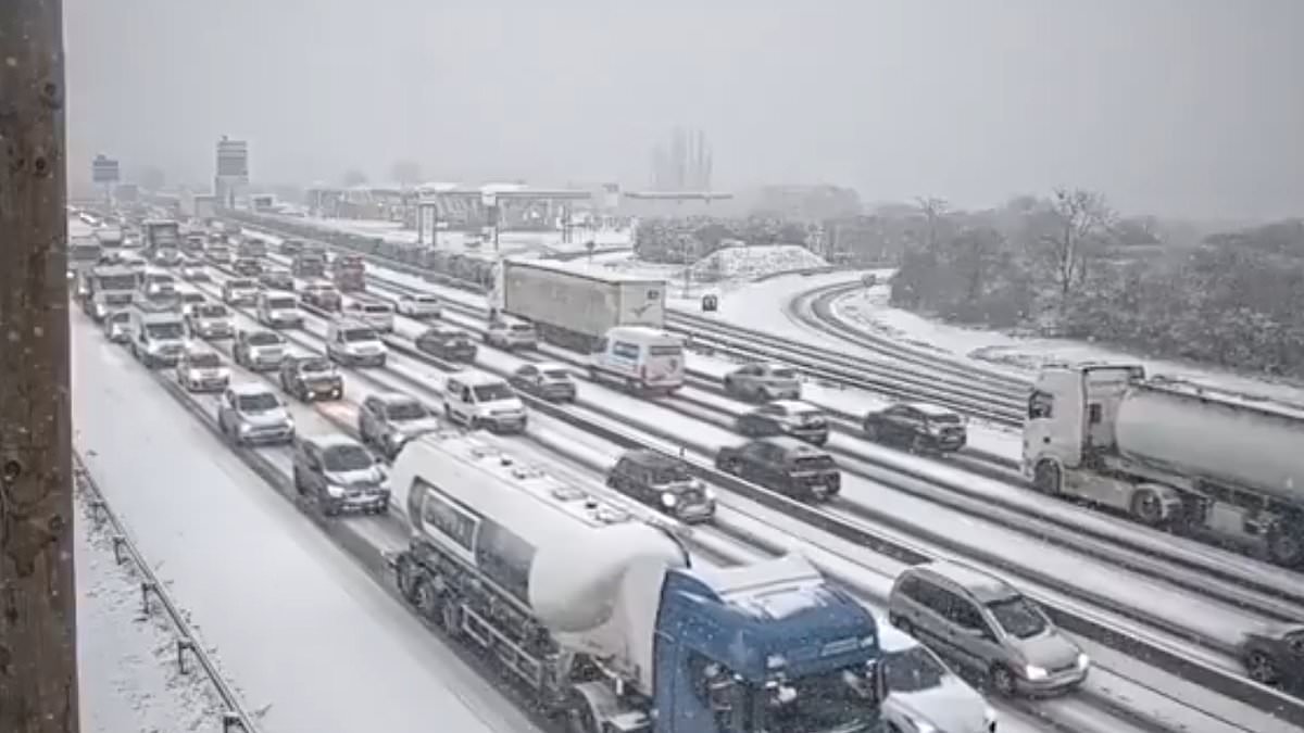 Europe's Arctic storm chaos: Thousands of passengers camp out at frozen Dutch airport while snow-hit France closes motorways and cancels flights as death toll climbs
