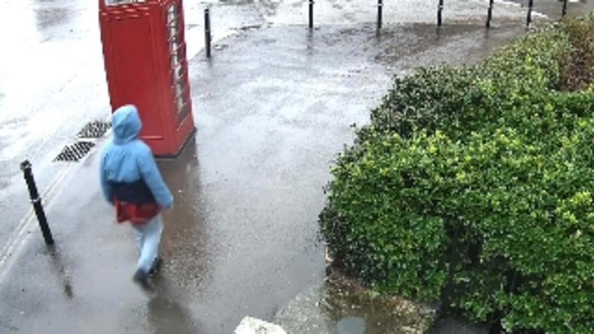 Police release new CCTV of Mick Jagger's granddaughter's partner as search for him enters its fourth day after he went missing during Storm Ingrid