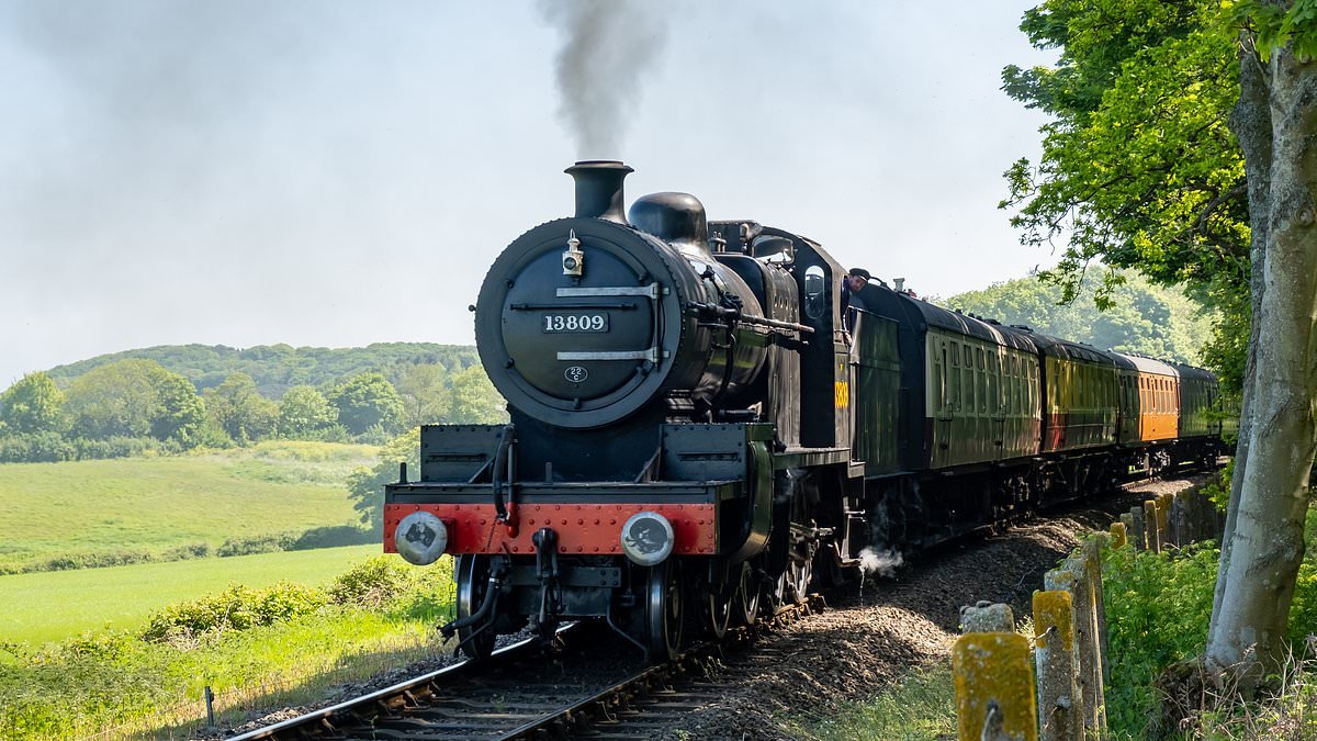 UK seaside town set to welcome 'fish and chip' dining train running along the coast
