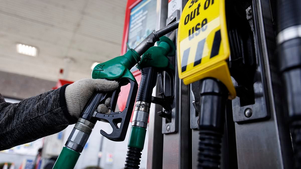 Fuel supplies 'being monitored' as minister admits rationing IS a possibility if Middle East turmoil continues