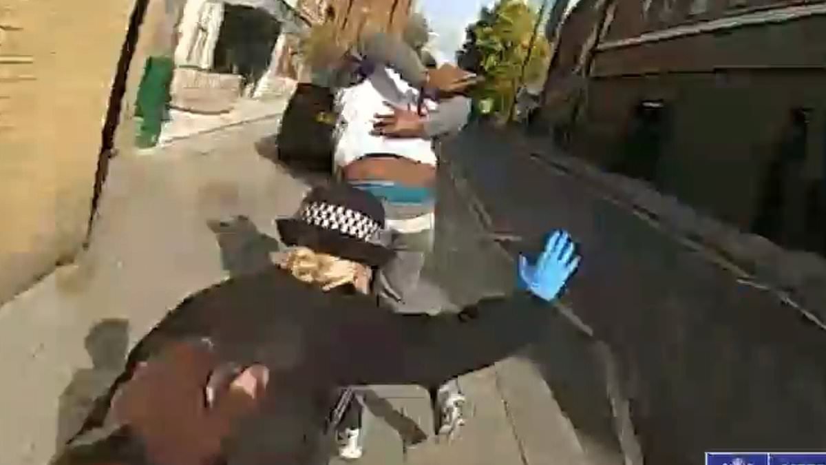 Police in Britain's first 'Big Brother town' are catching criminals every 34 MINUTES using facial recognition cameras