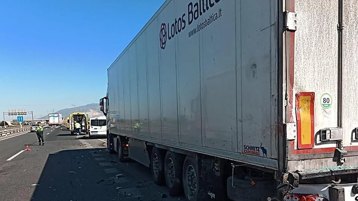 British mother, 42, is killed in front of her family after van they were in ploughs into the back of a lorry on Spanish highway