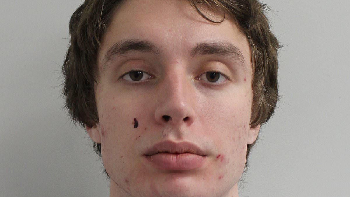 Wealthy Russian who beat up girlfriend while she was FaceTiming Barron Trump is jailed for four years