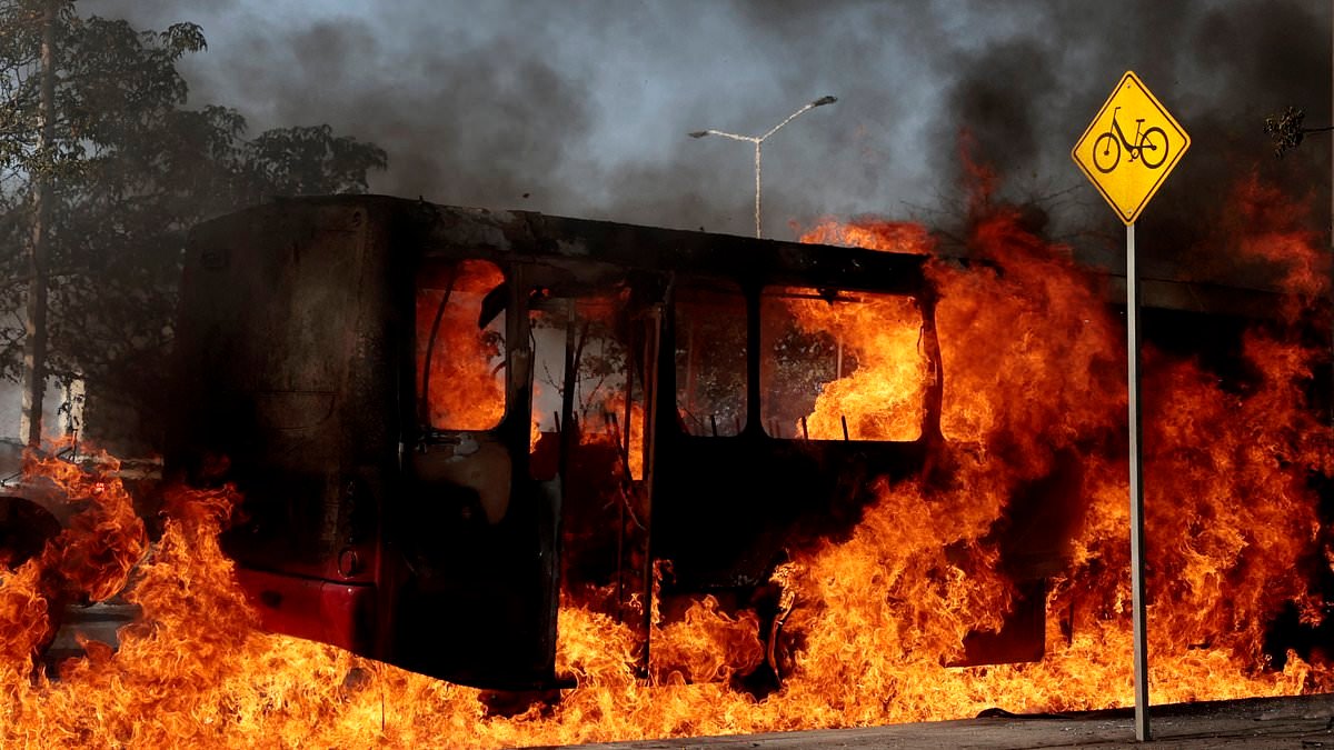American tourists left stranded in beautiful Mexico hotspot as cartels torch cars and wreak havoc in 'code red' attack