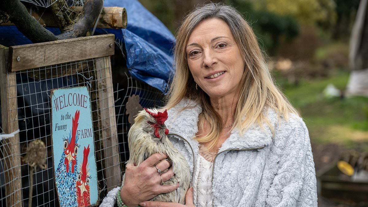 Noisy cockerel owner is threatened with an ASBO as council takes action over its 'unreasonable and persistent' crowing