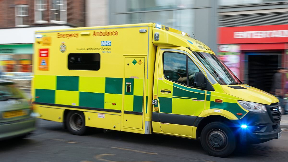 NHS paid ambulance-chasing lawyers £538m last year with many pocketing over 3-times more in legal fees than harmed patients received in damages