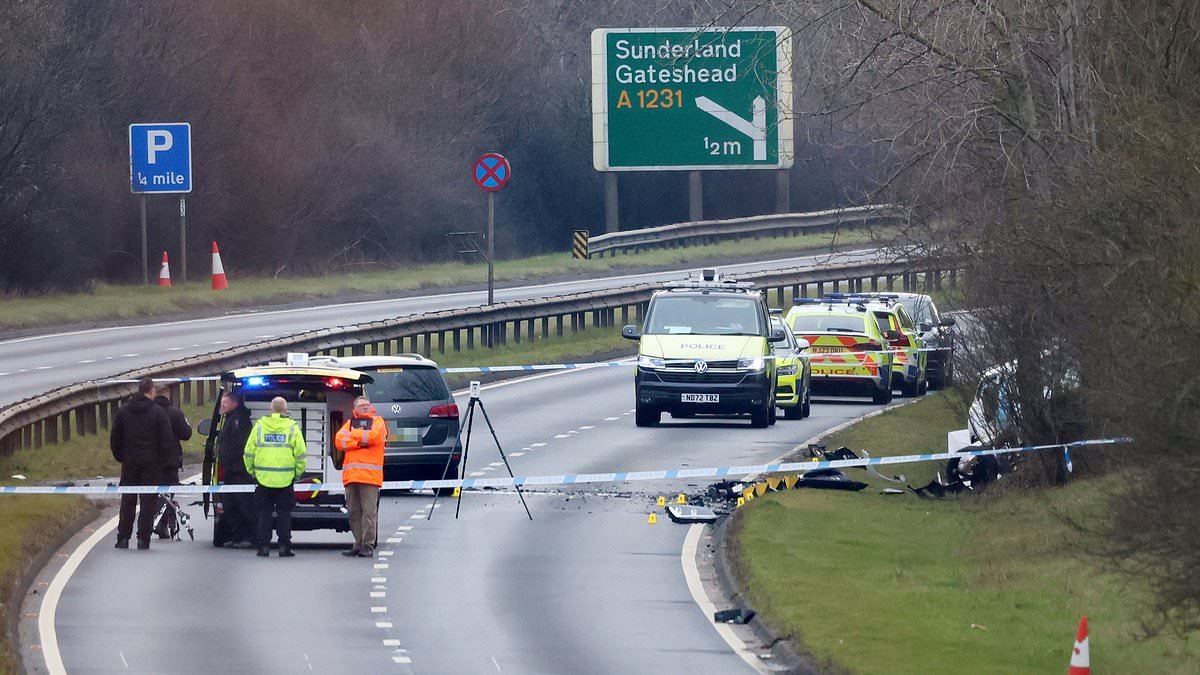 Woman in her 20s is dead and man is fighting for his life after car being chased by police crashes: Driver, 24, is arrested
