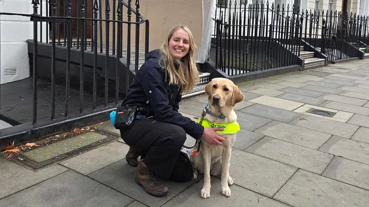 Is this the BEST job in the world? Meet the 'dog matchmaker' who matches guide dog puppies with visually impaired owners
