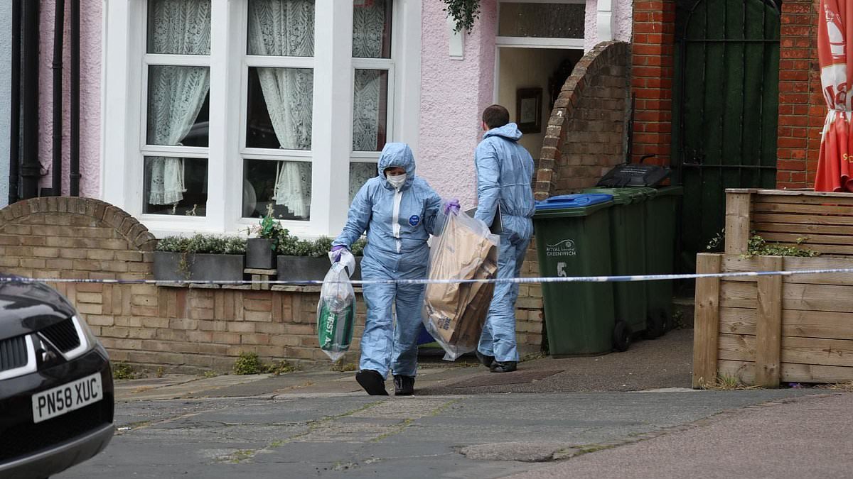 Man is charged with murdering 84-year-old woman who was stabbed to death outside her home in London
