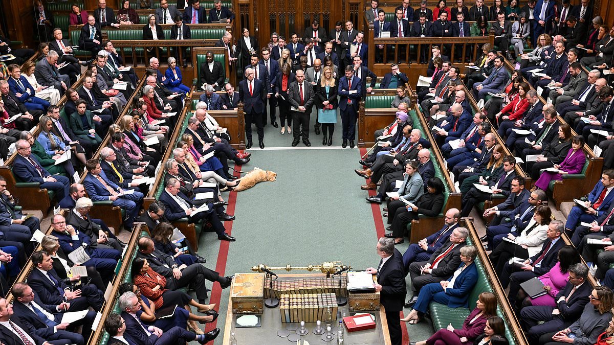 Labour confirms crunch Commons vote on Troubles laws - as Tories accuse ministers of 'outrageous' attack on Northern Ireland veterans