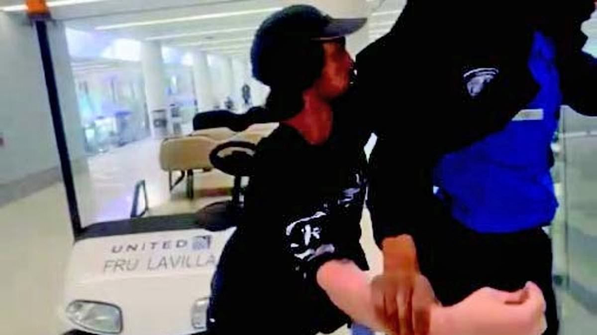 Furious Australian traveler filmed yanking TSA agent's hair at LAX airport after he couldn't find his bag