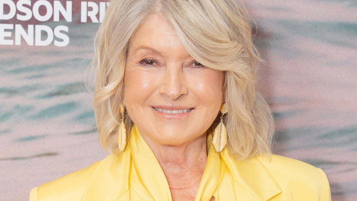 Martha Stewart, 84, says she wants to date a 'very rich man' with a plane and yacht... after getting close to 50 Cent