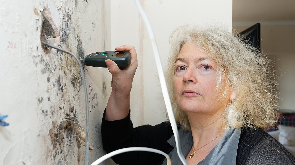 Net Zero has ruined our home: Heartbroken family says eco-friendly scheme left quaint 110-year-old cottage covered in black mould and slashed £200k off its value