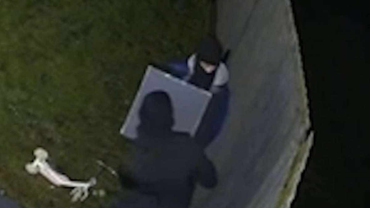 Moment Albanian burglary gang haul safe over garden fence amid £3million crime spree ransacking luxury homes