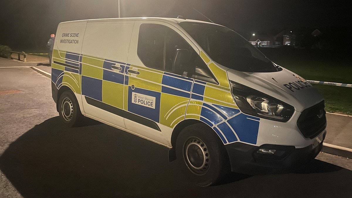 Three schoolgirls, aged between 12 and 14, charged after teenager knife attack