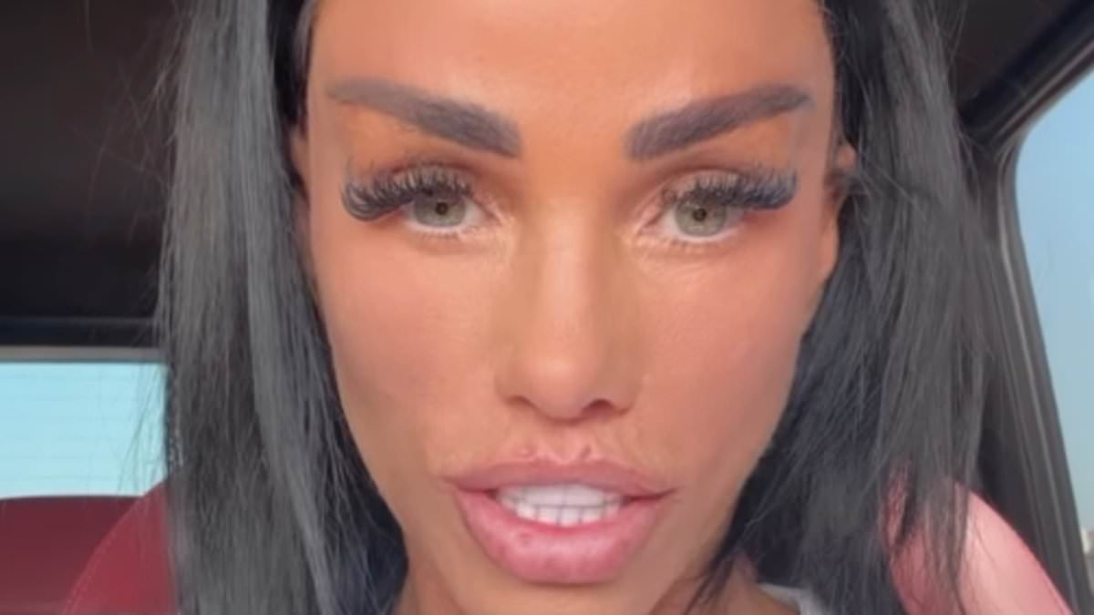 Katie Price 'shuts down travel business venture two weeks in' - after receiving backlash for attempting to recruit 'part time' agents along with Danielle Lloyd