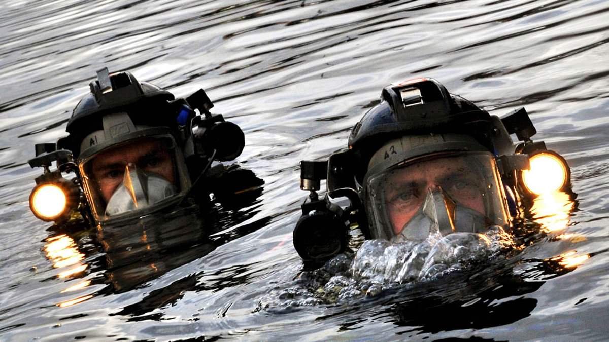 Elite team of Royal Navy divers on standby to deploy to the Strait of Hormuz to help defuse Iranian mines blocking shipping lanes