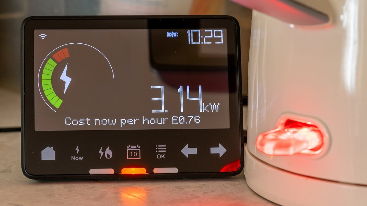 The best energy-efficient home products, tried and tested to save you money - as UK announces plug in solar panels will be available to buy in bid to cut household bills