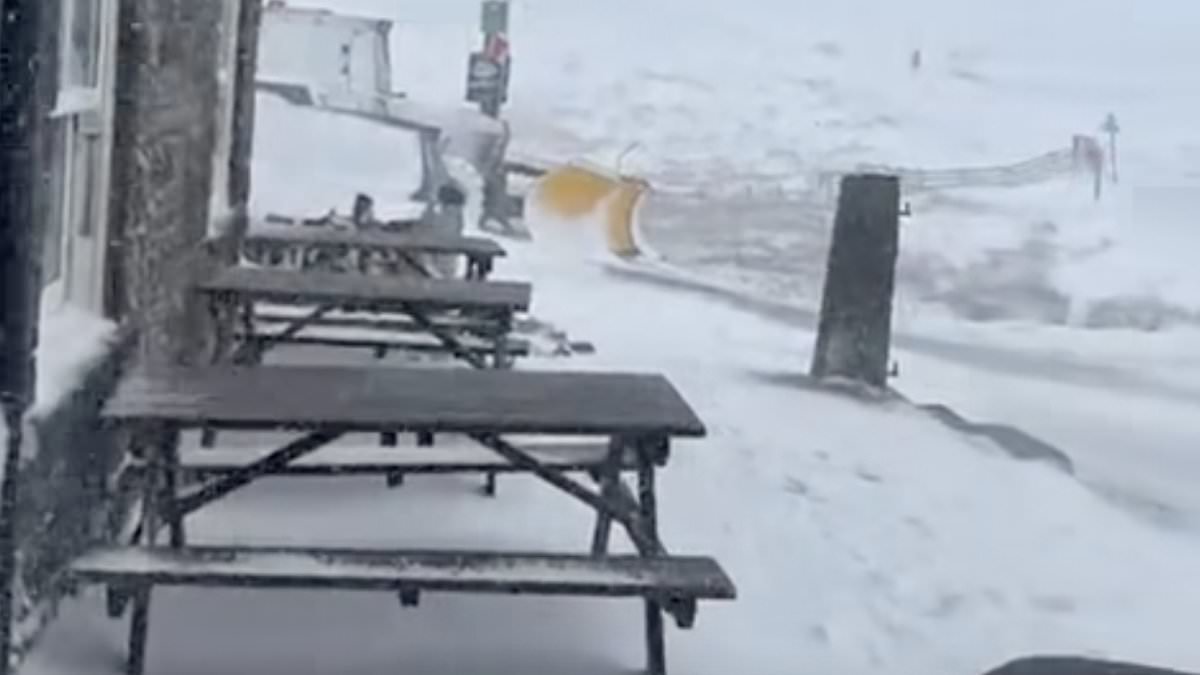 Patrons and staff get snowed in at Britain's highest pub as blizzard conditions during Storm Chandra cause havoc