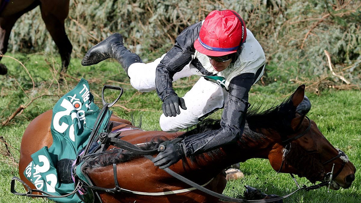 Grand National jockey is BANNED after he didn't allow his tired horse to stop before it fell at the final fence - while wearing Red Rum's hair in his gloves for his legendary granddad