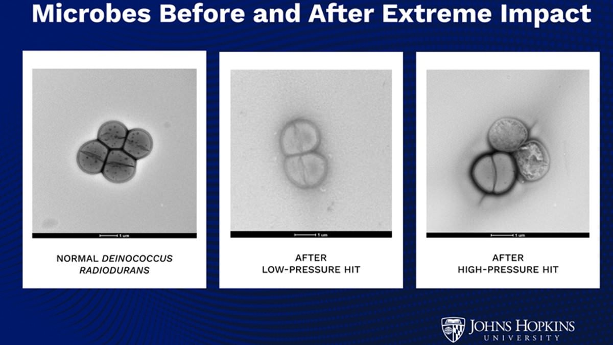 We come in peace! Aliens could be CATAPULTED onto Earth via an asteroid, study claims