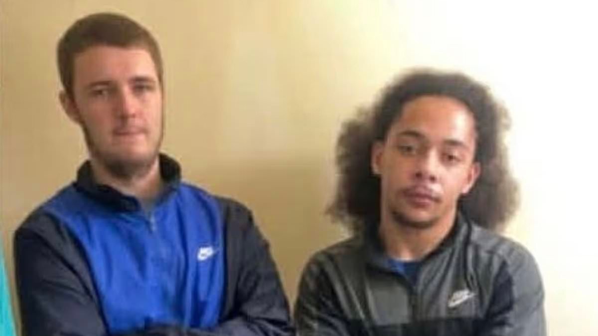 Teen killers' sickening boasts they are 'back together' in young offenders prison after stabbing best friends to death