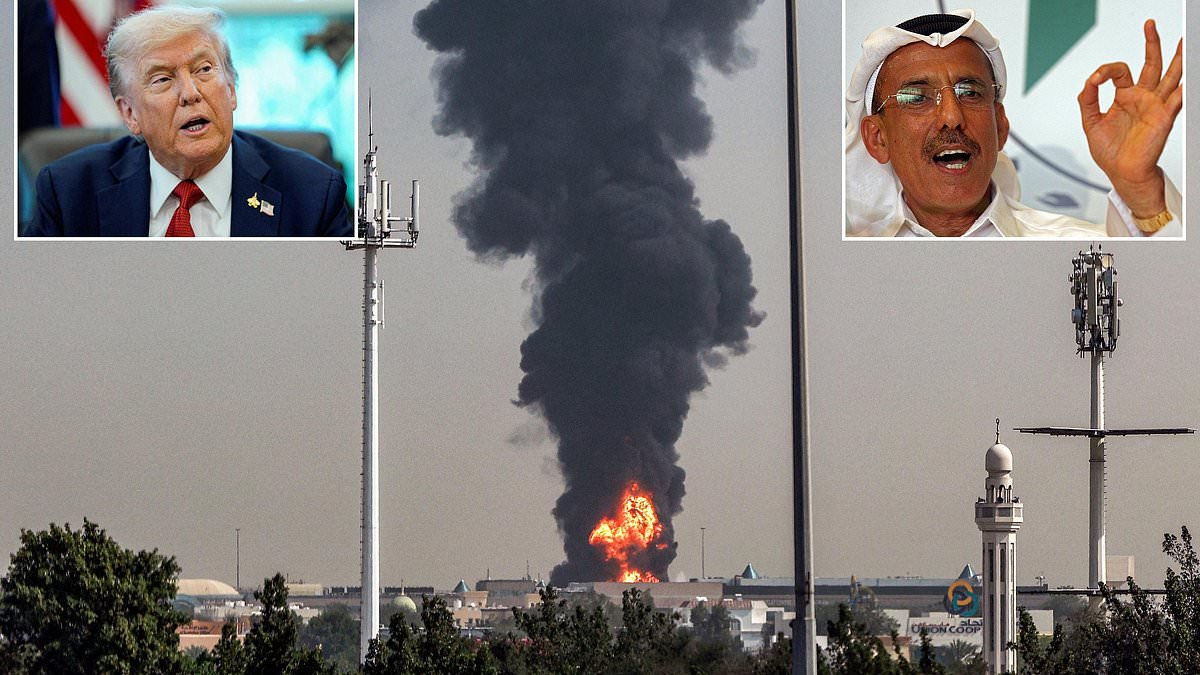 UAE tycoon tones down criticism of US days after deleting his furious anti-Trump tweets