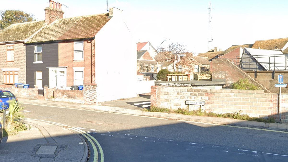 Woman in her 20s is 'led down alleyway and raped' in seaside town sex attack: Teen, 18, is arrested after fleeing scene