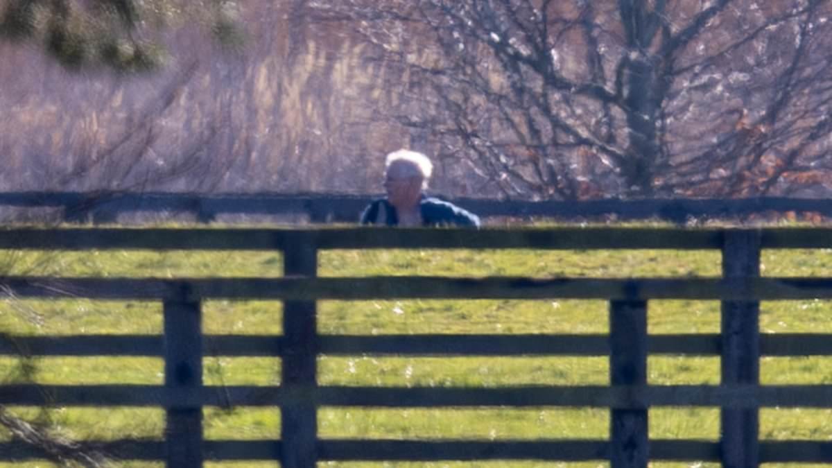 Andrew Mountbatten-Windsor takes solo dog walk around Sandringham as he is seen for the first time since arrest