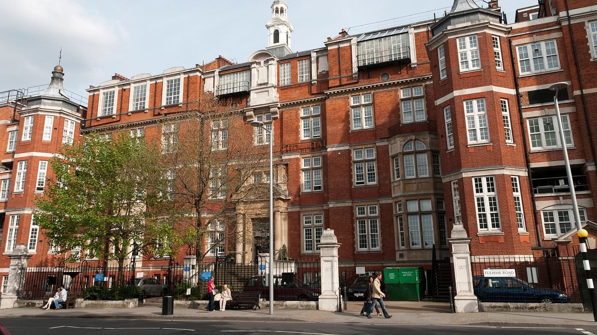 World-renowned hospital's expansion will hurt house prices, say Chelsea residents