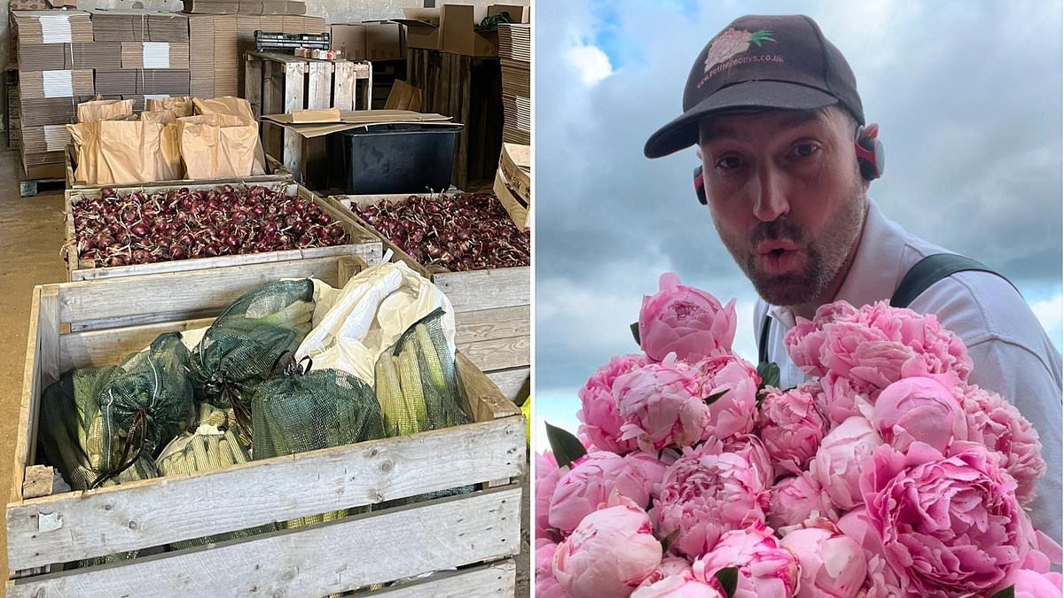 Meet the farmer-turned-influencer selling his fruit and veg on TIKTOK instead of to the supermarkets
