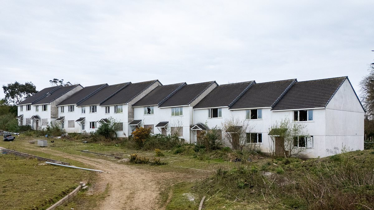 Pair of squatters move onto 'ghost estate' with their ponies and rottweilers 'to offer security'... and residents want them gone